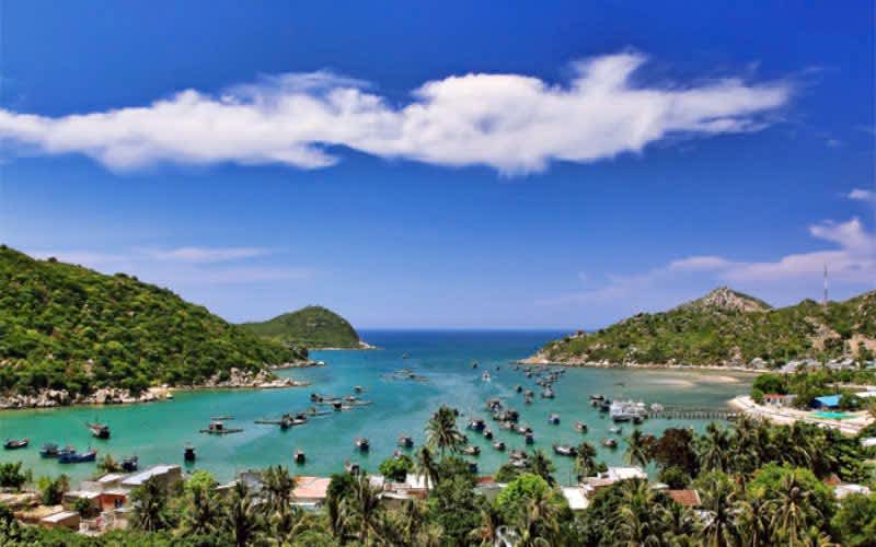 QUY NHƠN: BƯỚC MỞ RỘNG THỊ TRƯỜNG CỦA QUANG MINH HOLDINGS